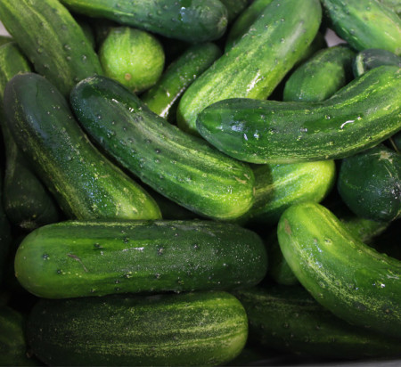 Samll Cucumbers